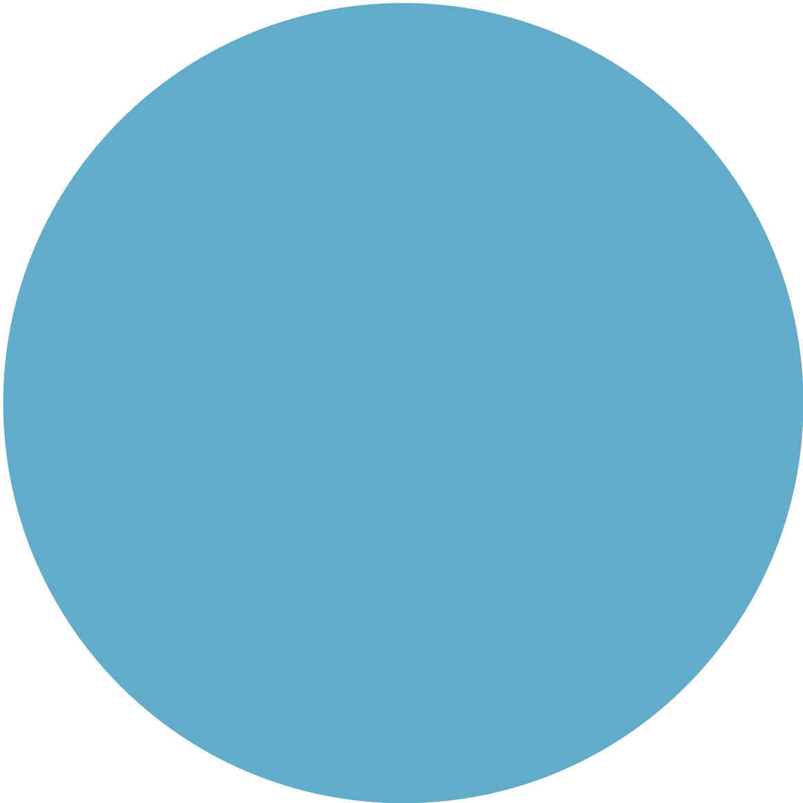 https://viorum.com/wp-content/uploads/2022/02/Blue-Circle-2.png